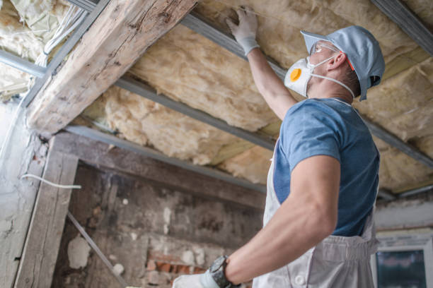 Best Insulation Materials and Products in Whitehorn Cove, OK