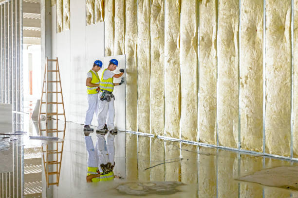 Best Insulation for Specific Applications in Whitehorn Cove, OK